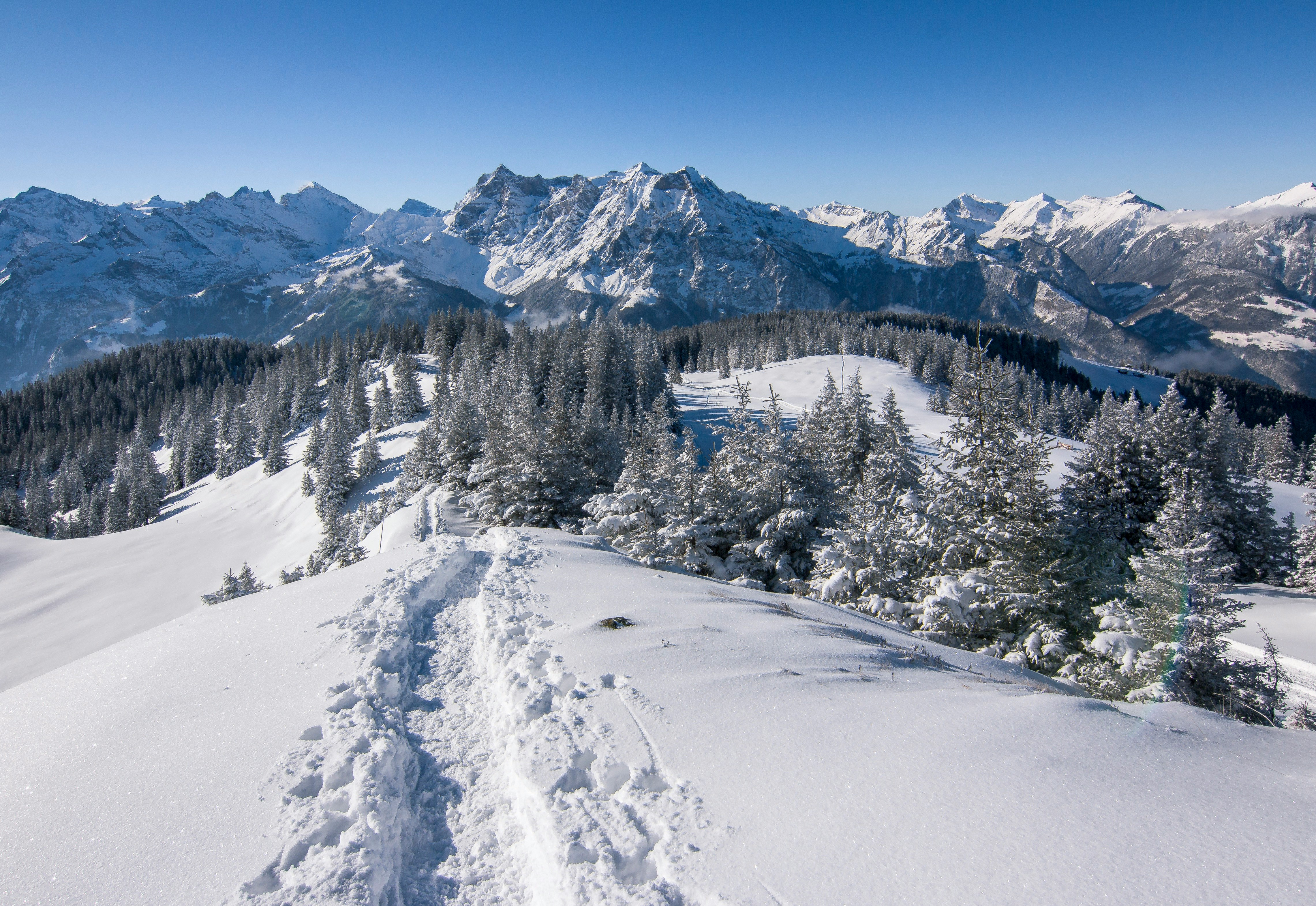 snow covered mountain during daytime